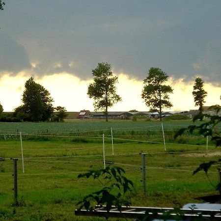 Deich Im Landhaus Michaela Friedrichskoog Zewnętrze zdjęcie